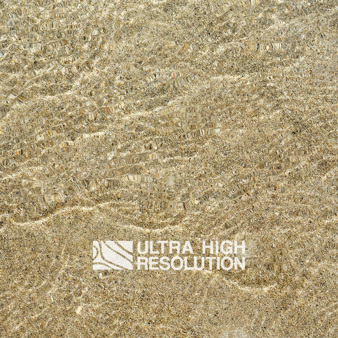 Sand Shell Grit Shallow Water Texture (271cm x 203cm)