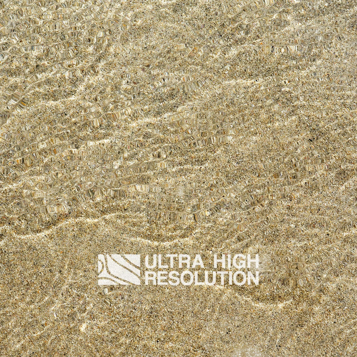 Sand Shell Grit Shallow Water Texture (271cm x 203cm)