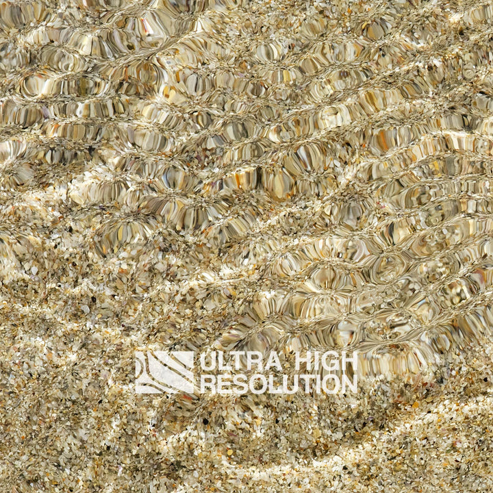 Sand Shell Grit Shallow Water Texture (271cm x 203cm)