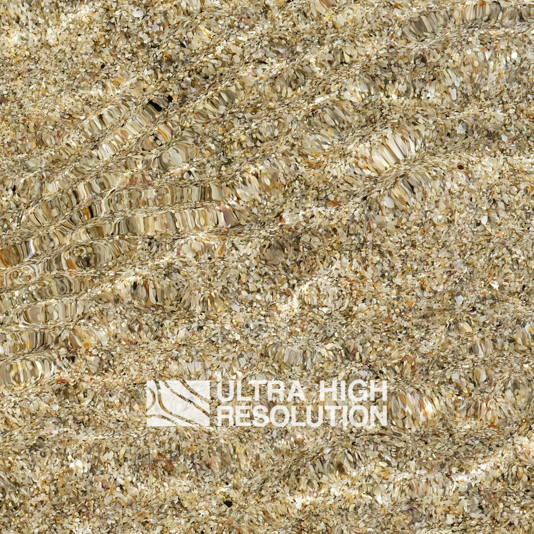 Sand Shell Grit Shallow Water Texture (271cm x 203cm)