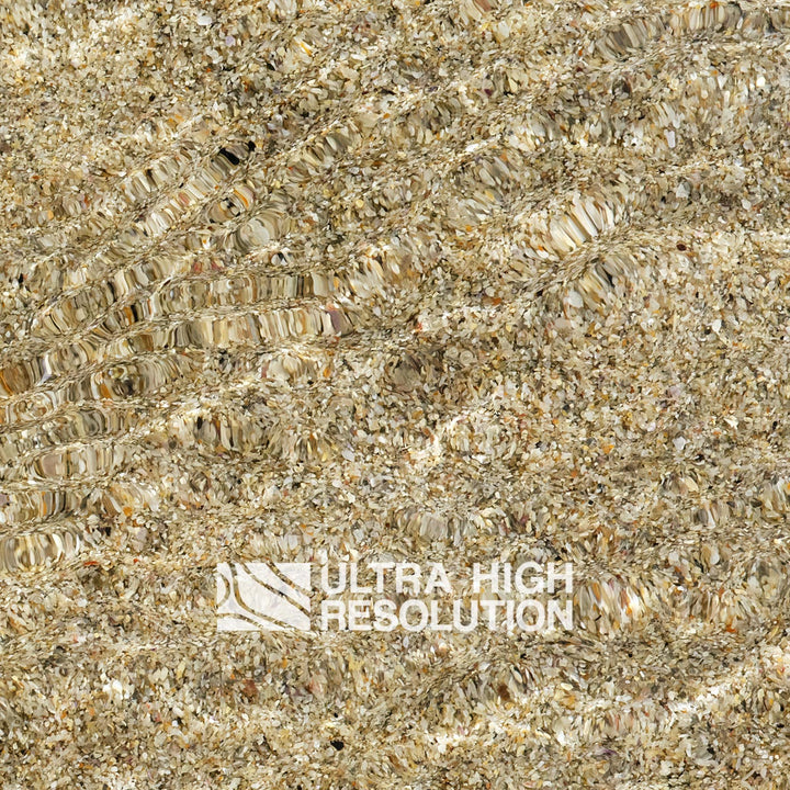 Sand Shell Grit Shallow Water Texture (271cm x 203cm)