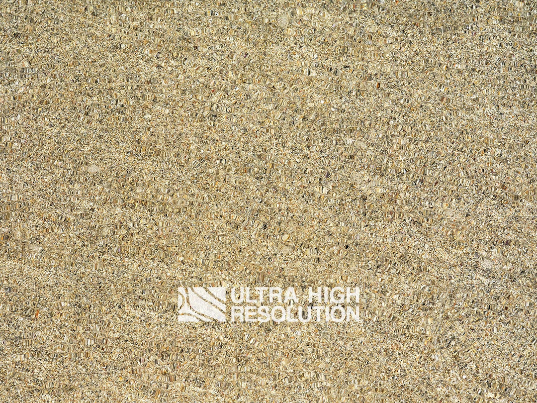 Sand Underwater Shell Grit Texture (271cm x 203cm)