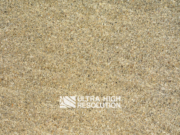 Sand Underwater Shell Grit Texture (271cm x 203cm)