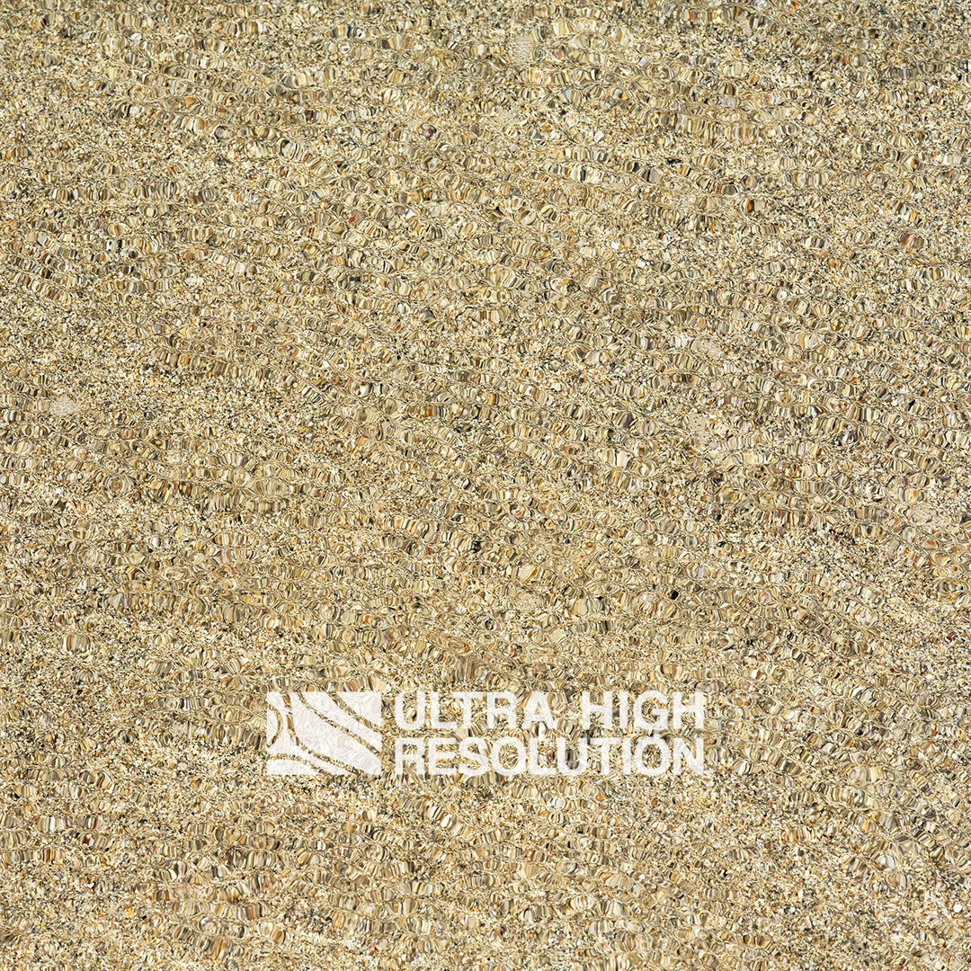 Sand Underwater Shell Grit Texture (271cm x 203cm)