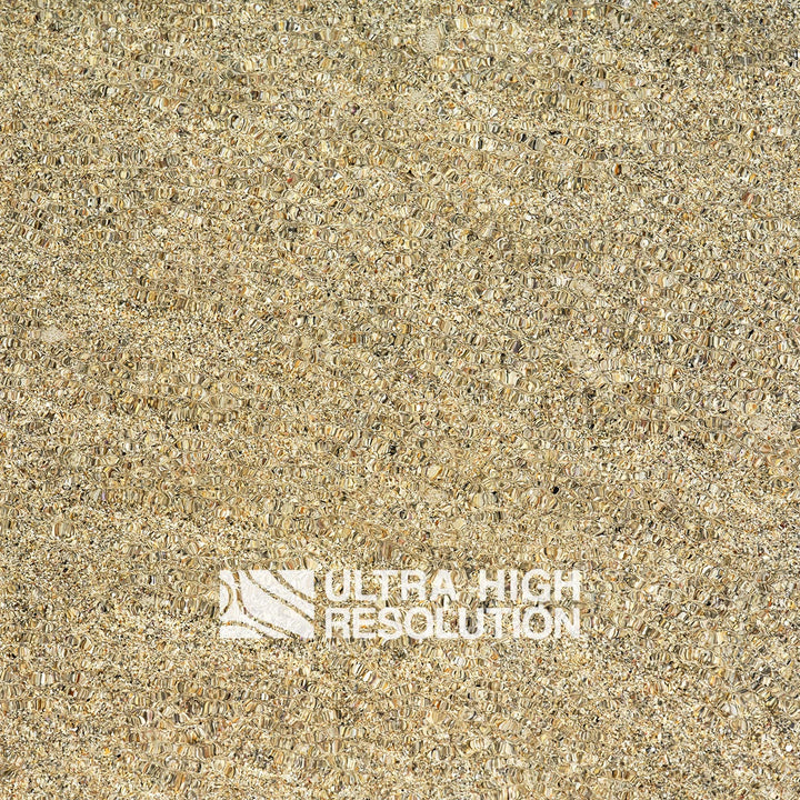 Sand Underwater Shell Grit Texture (271cm x 203cm)