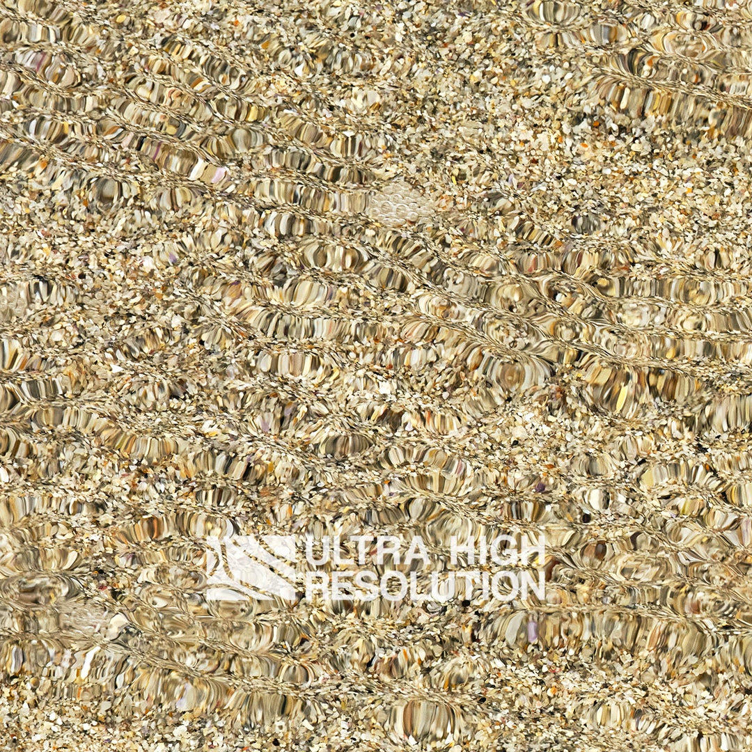 Sand Underwater Shell Grit Texture (271cm x 203cm)