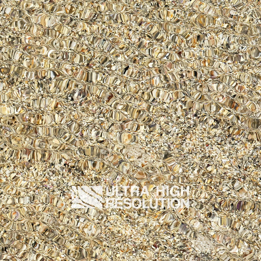 Sand Underwater Shell Grit Texture (271cm x 203cm)