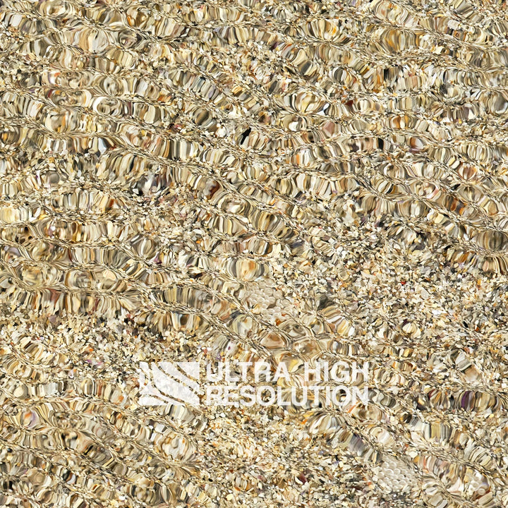 Sand Underwater Shell Grit Texture (271cm x 203cm)