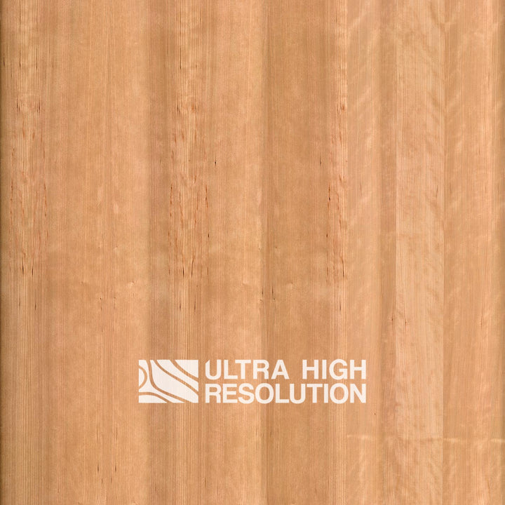 Quarter-Sawn Sapele Texture (698cm x 304cm)