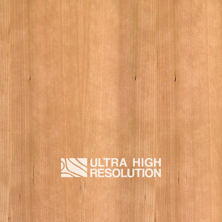 Quarter-Sawn Sapele Texture (698cm x 304cm)