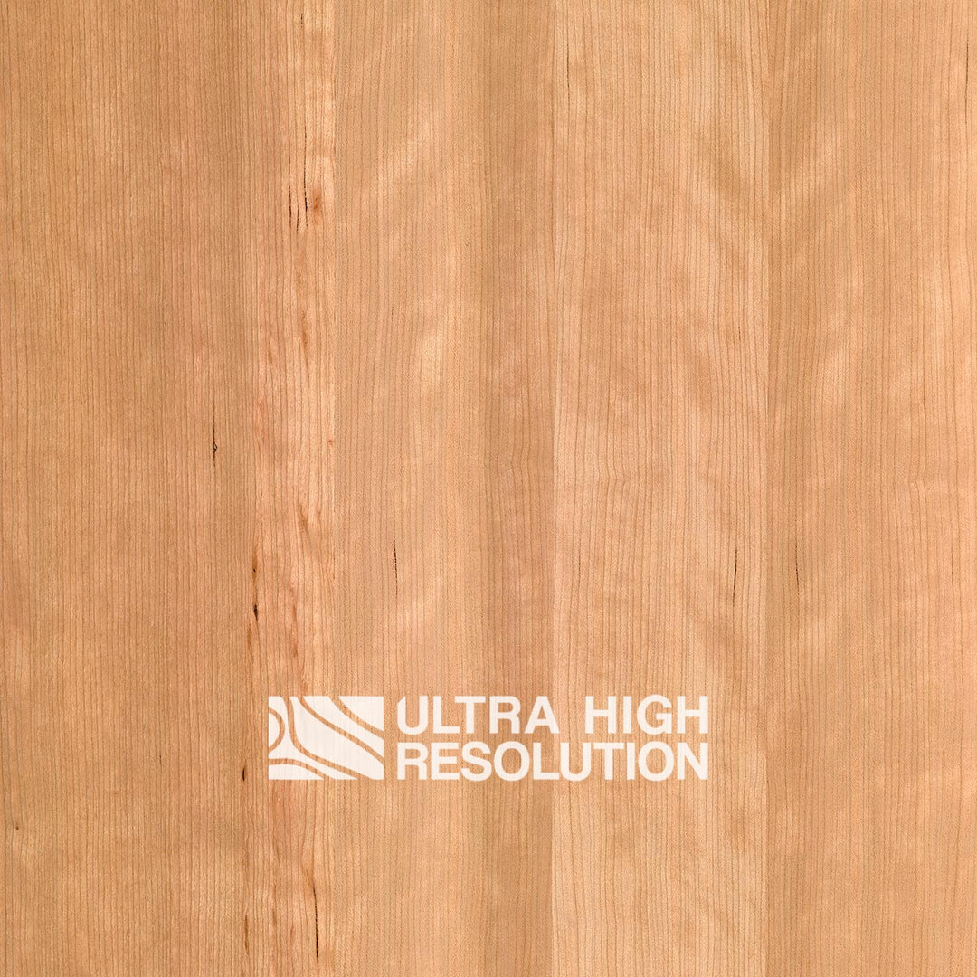 Quarter-Sawn Sapele Texture (698cm x 304cm)