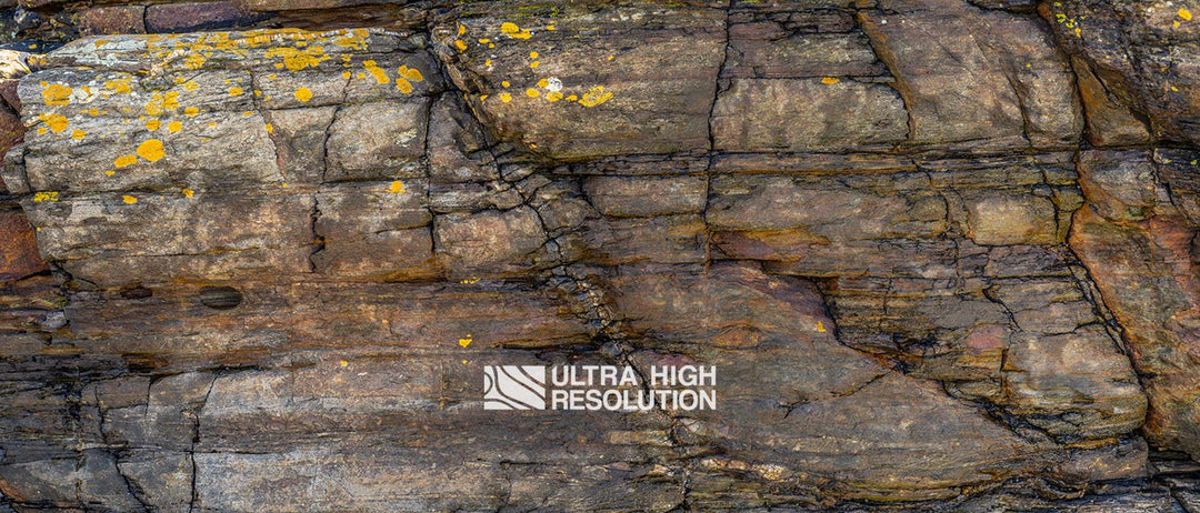 Sedimentary Rock Texture with Yellow Lichen (339cm x 145cm)