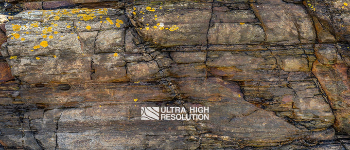 Sedimentary Rock Texture with Yellow Lichen (339cm x 145cm)