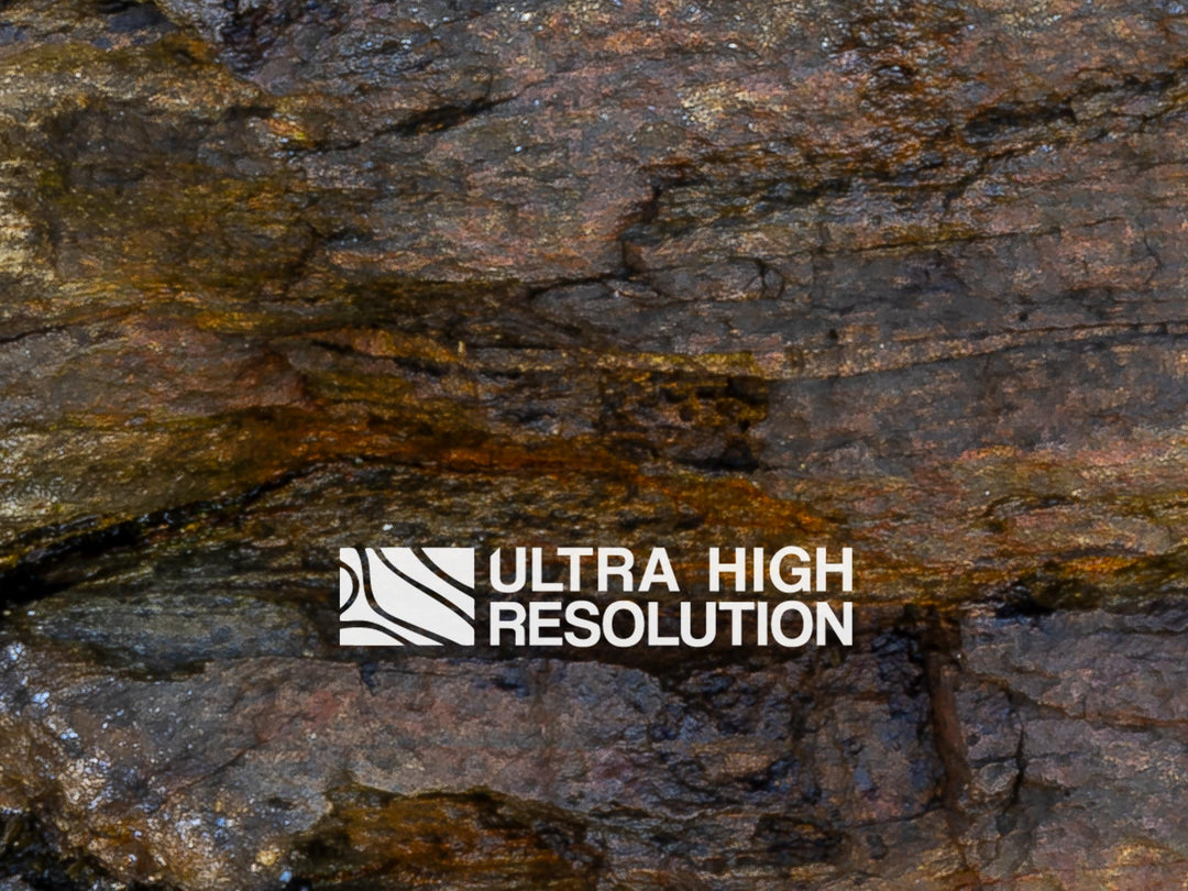 Sedimentary Rock Texture with Yellow Lichen (339cm x 145cm)