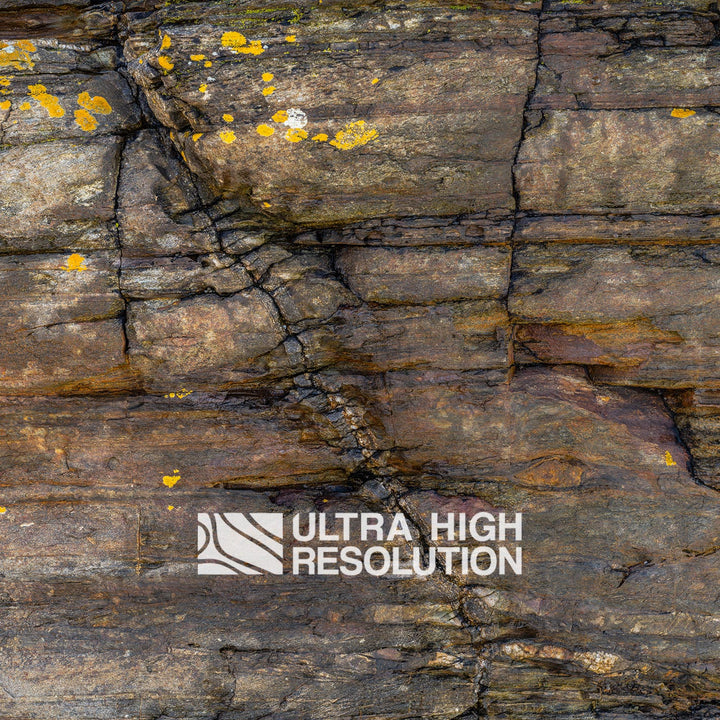 Sedimentary Rock Texture with Yellow Lichen (339cm x 145cm)
