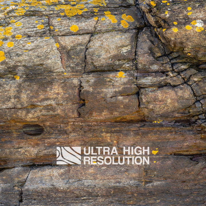 Sedimentary Rock Texture with Yellow Lichen (339cm x 145cm)
