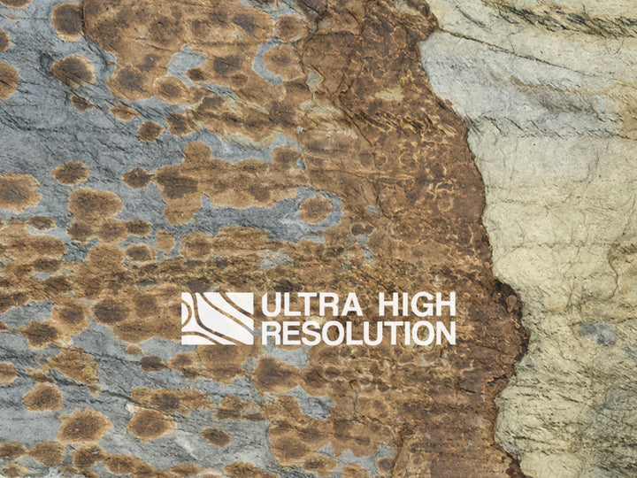 Slate Spotted Coastal Rock Texture (271cm x 203cm)