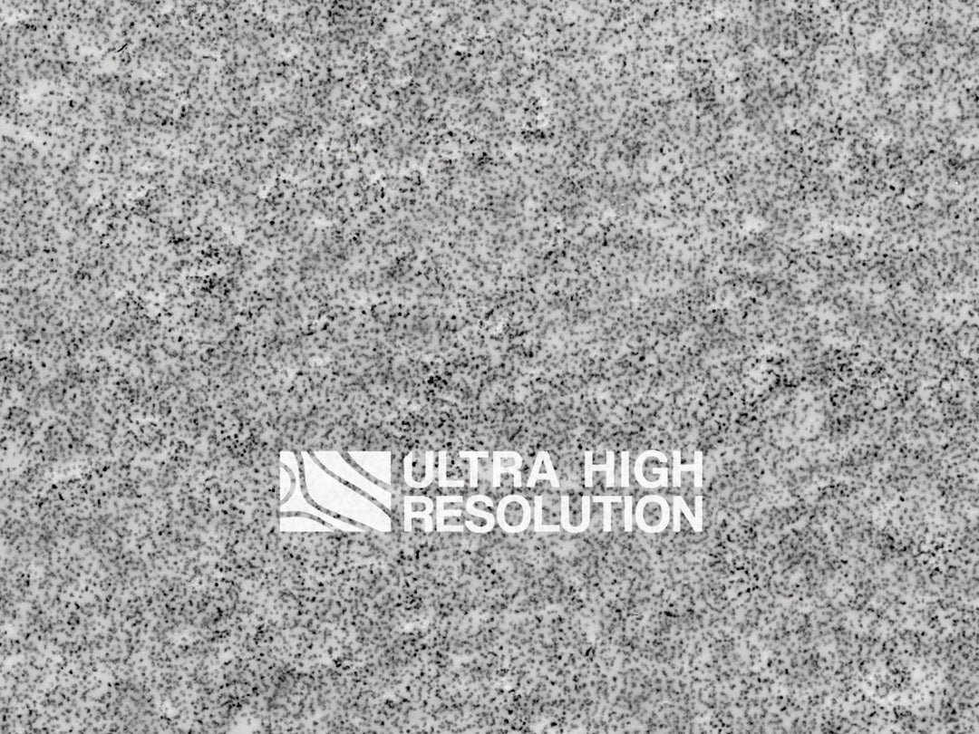 Smooth Grey Concrete Texture (665cm x 261cm)