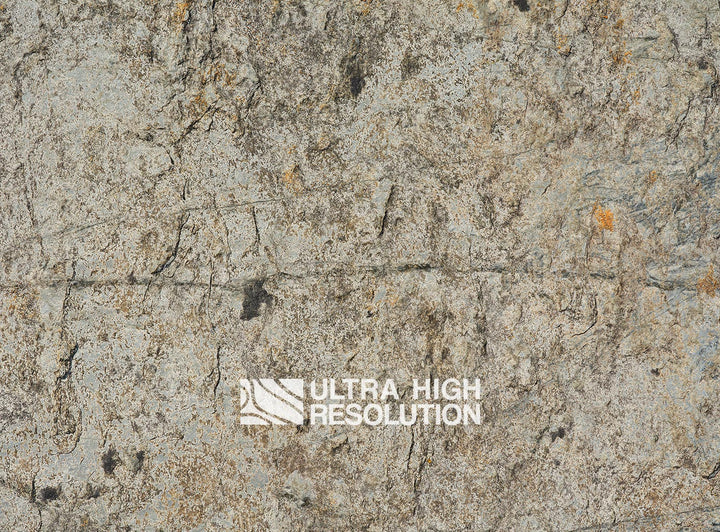 Stone Lichen Encrusted Rock Texture (271cm x 200cm)