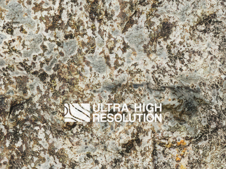 Stone Lichen Encrusted Rock Texture (271cm x 200cm)