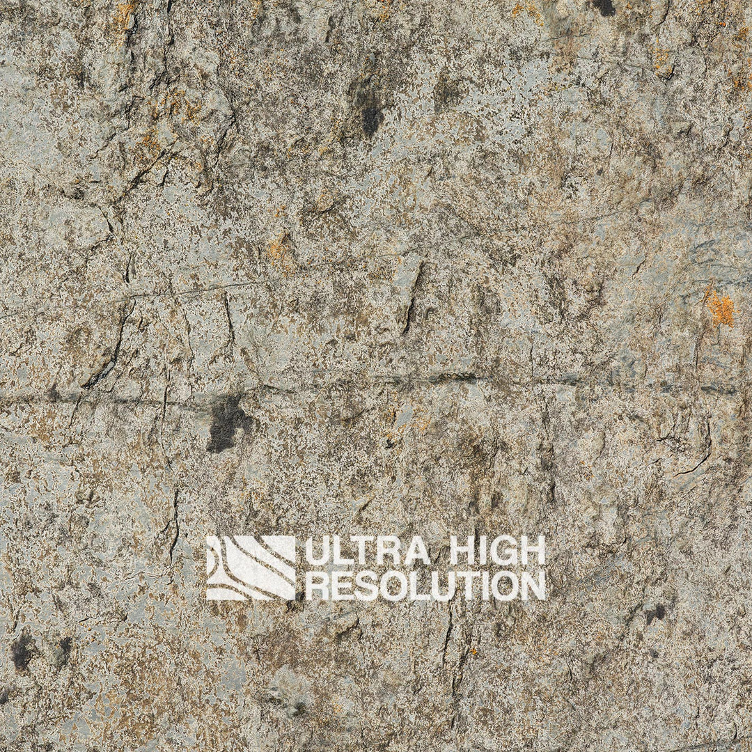 Stone Lichen Encrusted Rock Texture (271cm x 200cm)