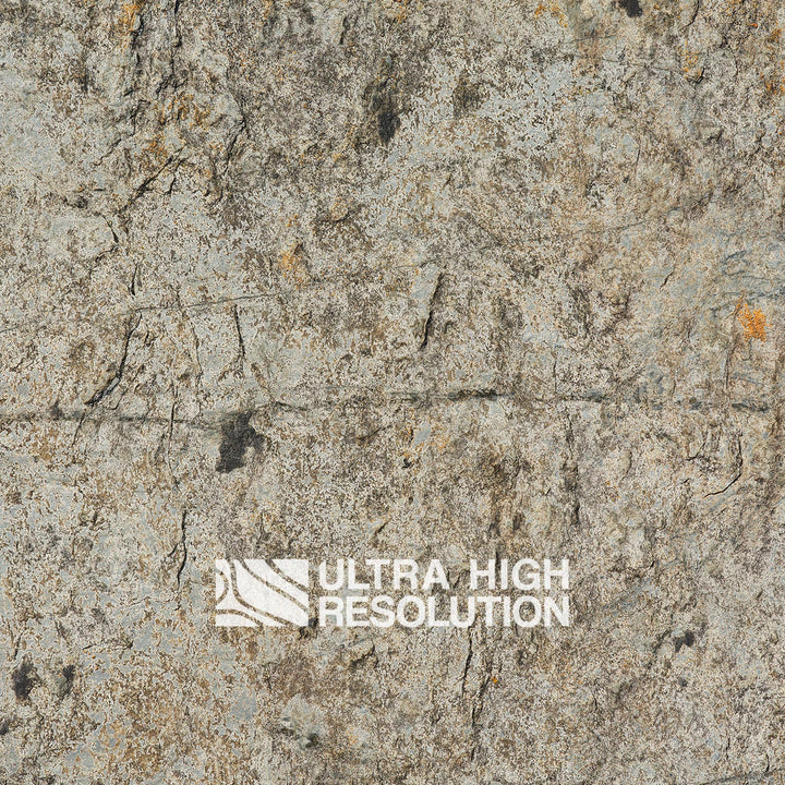 Stone Lichen Encrusted Rock Texture (271cm x 200cm)