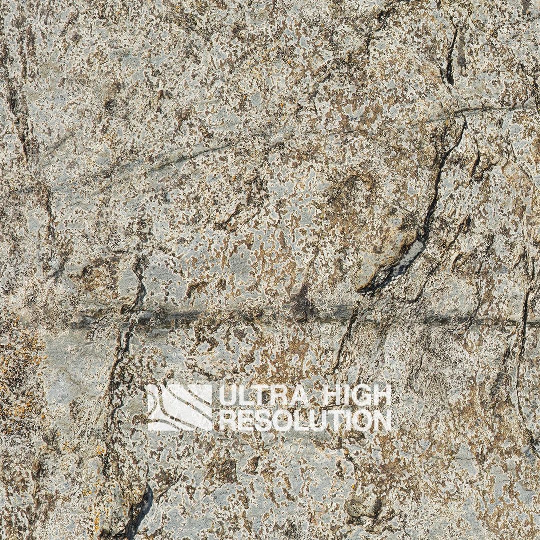 Stone Lichen Encrusted Rock Texture (271cm x 200cm)