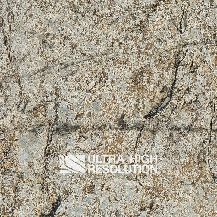 Stone Lichen Encrusted Rock Texture (271cm x 200cm)