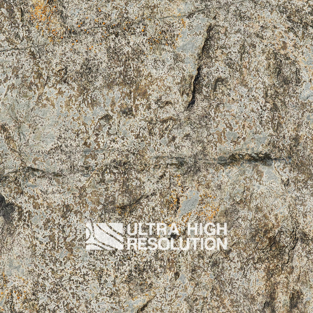 Stone Lichen Encrusted Rock Texture (271cm x 200cm)