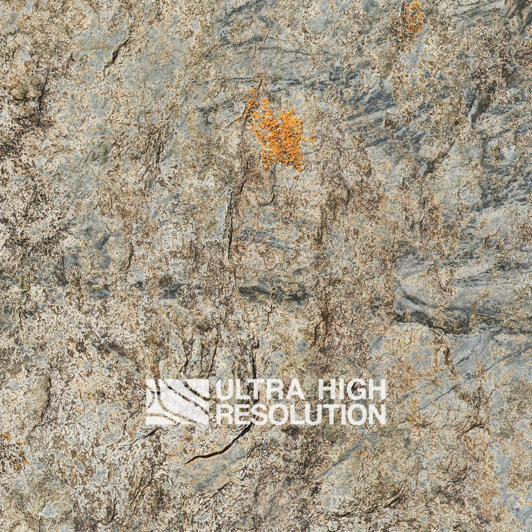 Stone Lichen Encrusted Rock Texture (271cm x 200cm)
