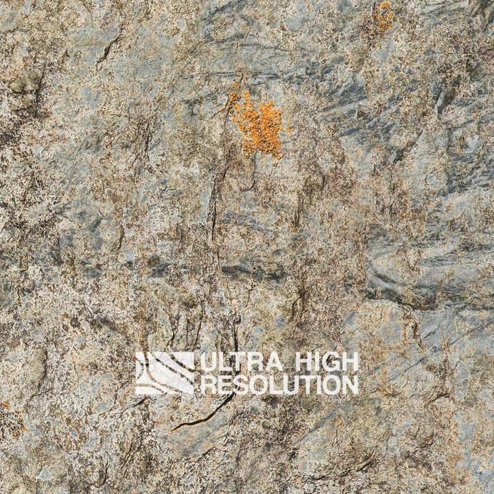 Stone Lichen Encrusted Rock Texture (271cm x 200cm)