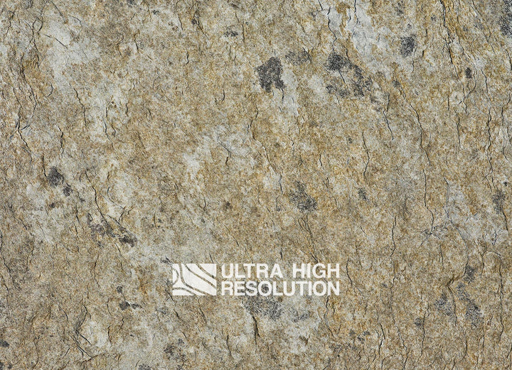 Tan Crackled Lichen Rock Texture (271cm x 196cm)
