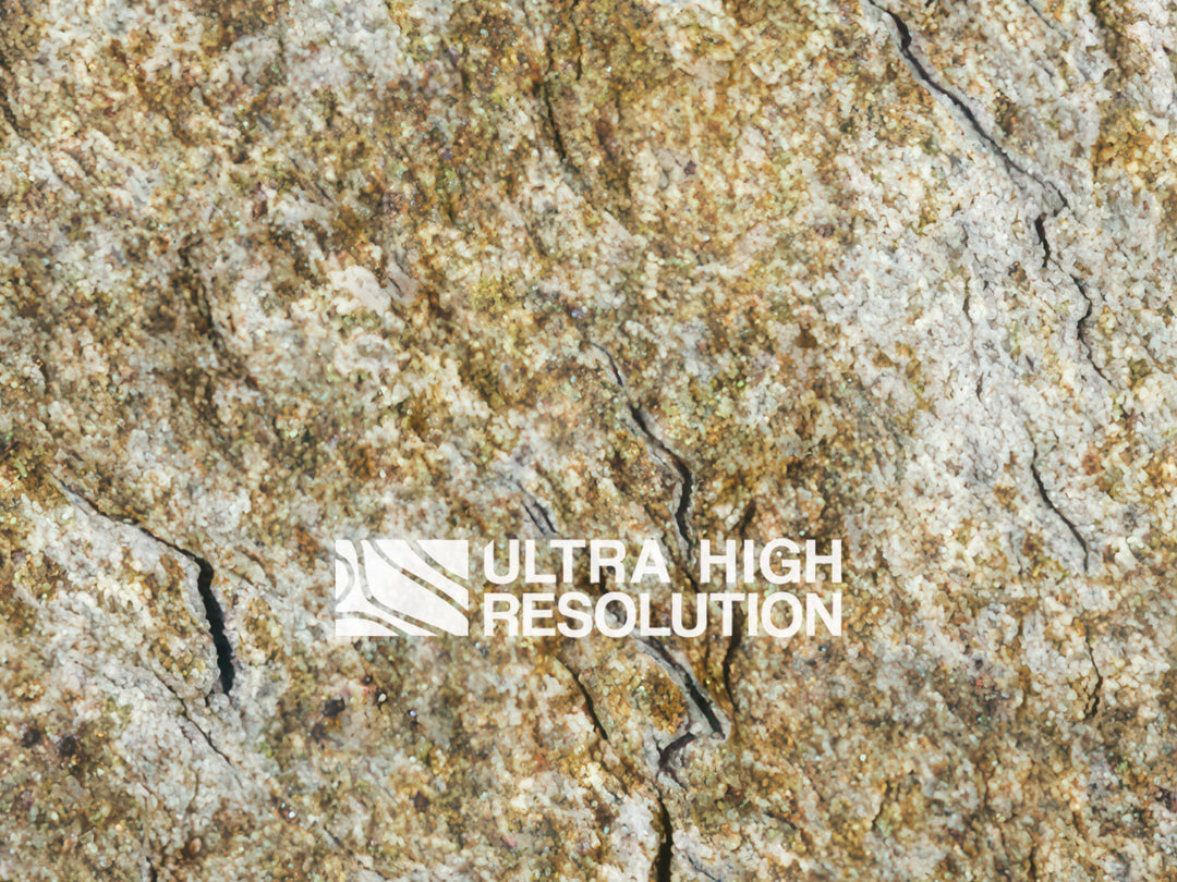 Tan Crackled Lichen Rock Texture (271cm x 196cm)