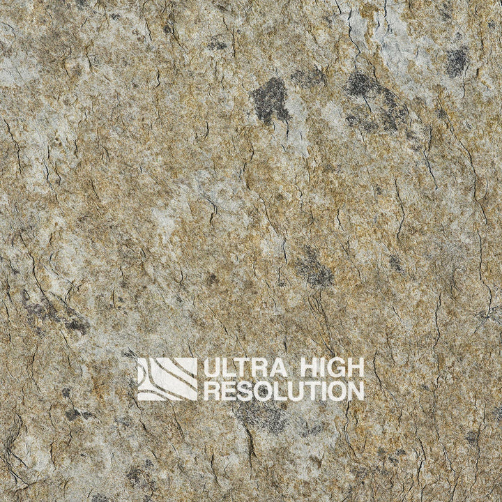 Tan Crackled Lichen Rock Texture (271cm x 196cm)
