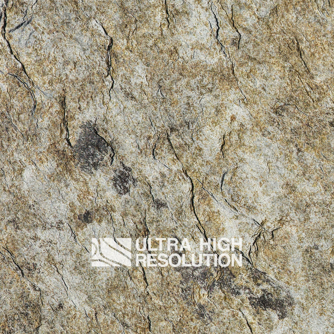 Tan Crackled Lichen Rock Texture (271cm x 196cm)