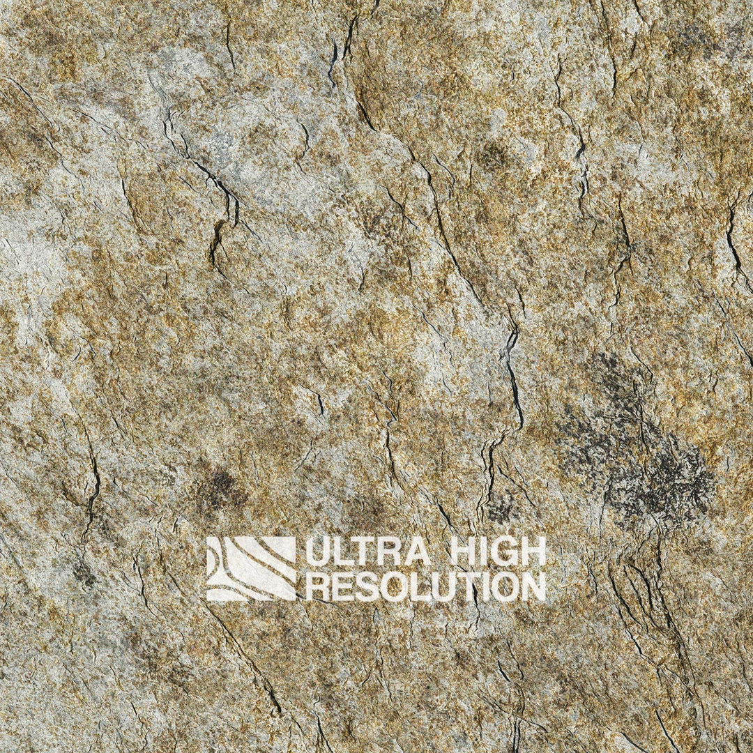 Tan Crackled Lichen Rock Texture (271cm x 196cm)