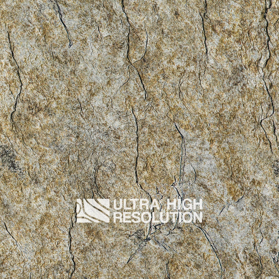 Tan Crackled Lichen Rock Texture (271cm x 196cm)
