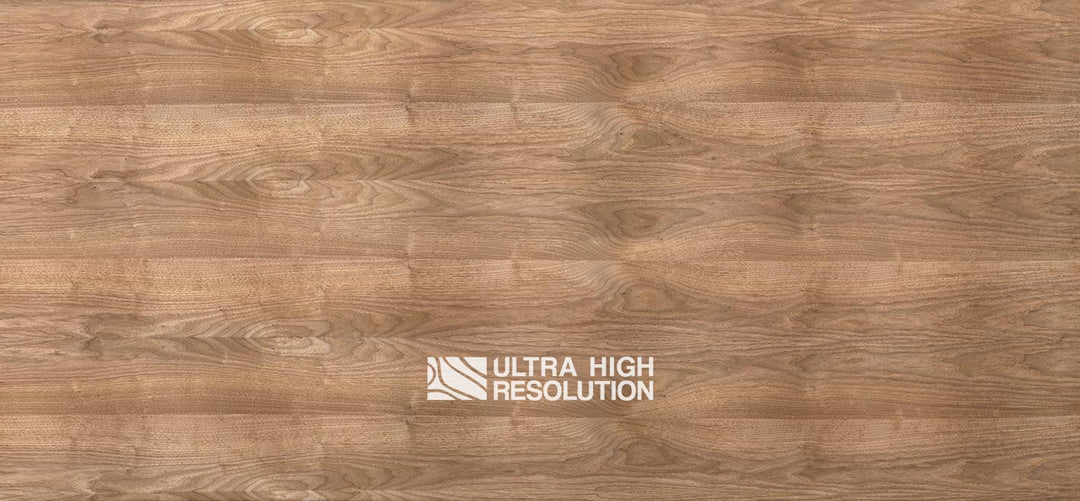 Walnut Wood Knotted Veneer (704cm x 327cm)