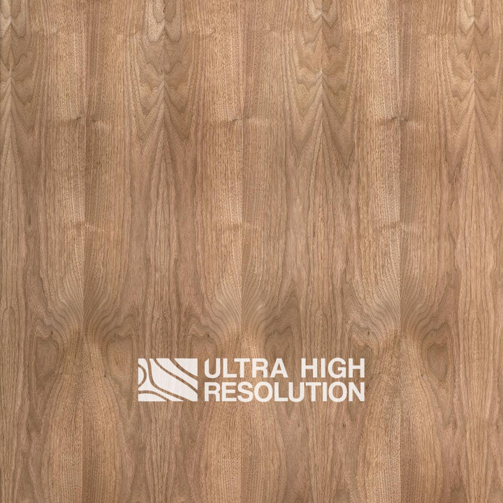 Walnut Wood Knotted Veneer (704cm x 327cm)