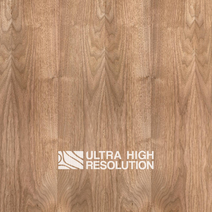 Walnut Wood Knotted Veneer (704cm x 327cm)