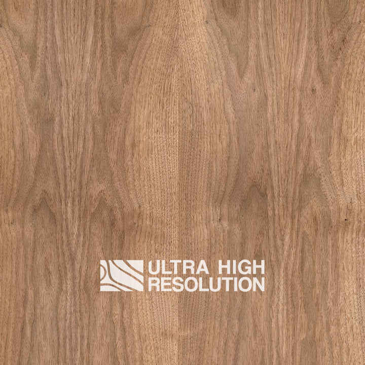 Walnut Wood Knotted Veneer (704cm x 327cm)