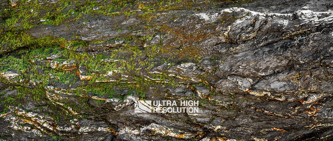 Warm Grey Mossy Rock Texture (344cm x 146cm)