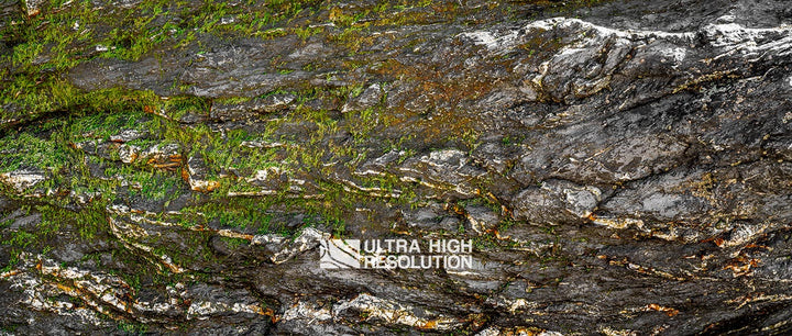 Warm Grey Mossy Rock Texture (344cm x 146cm)