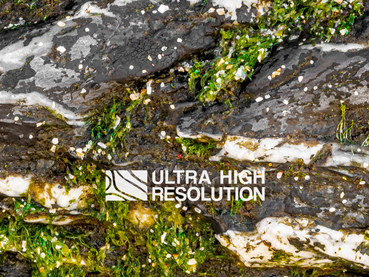Warm Grey Mossy Rock Texture (344cm x 146cm)