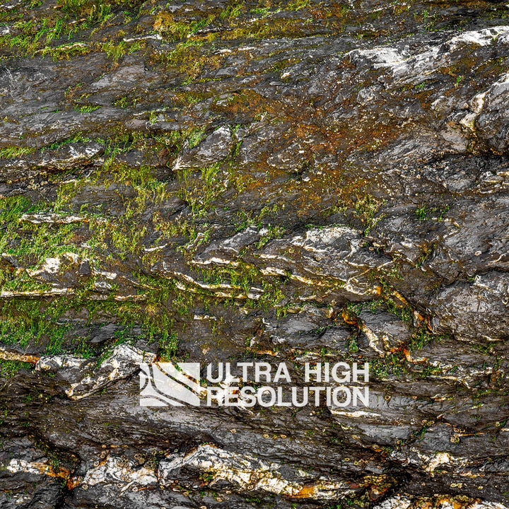 Warm Grey Mossy Rock Texture (344cm x 146cm)