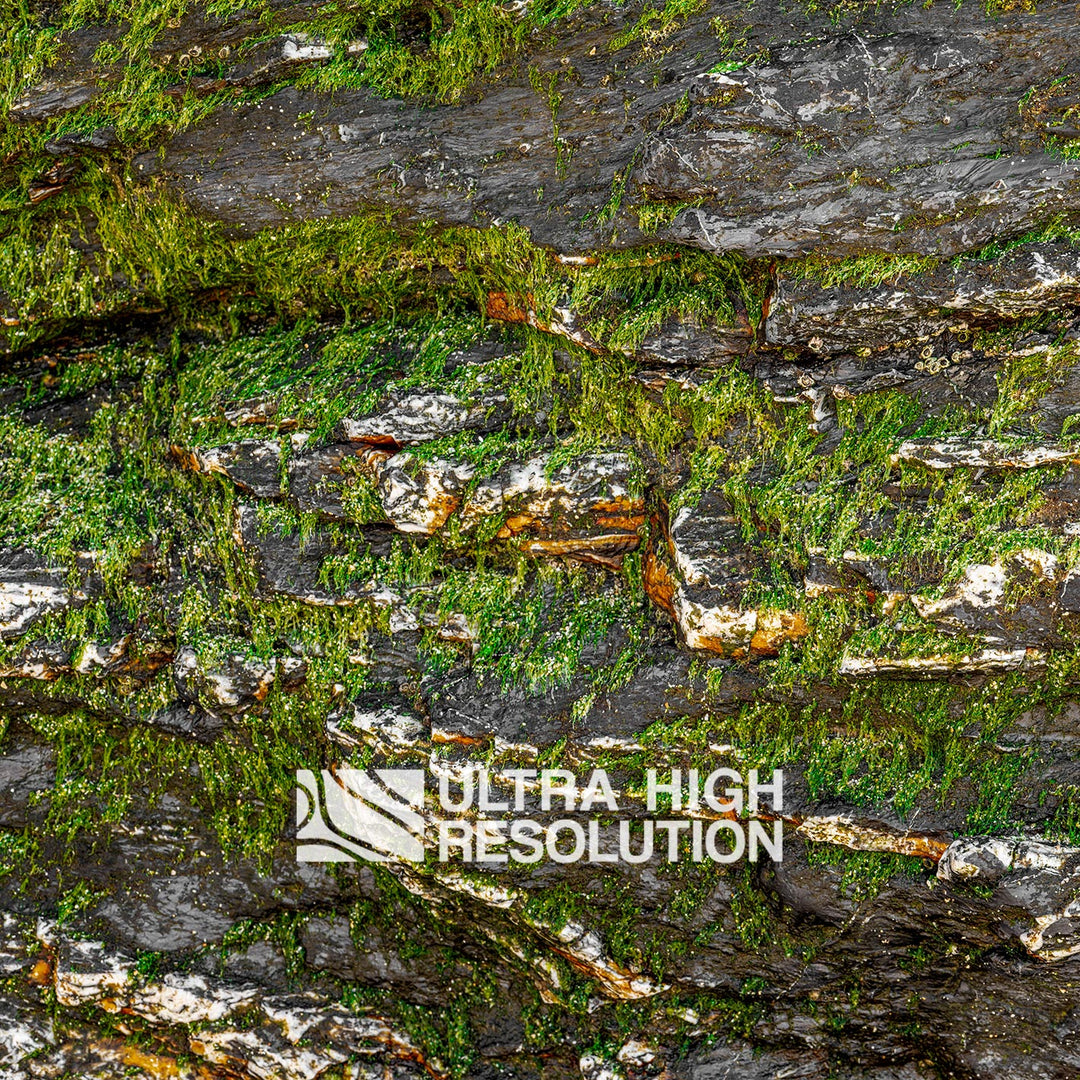 Warm Grey Mossy Rock Texture (344cm x 146cm)