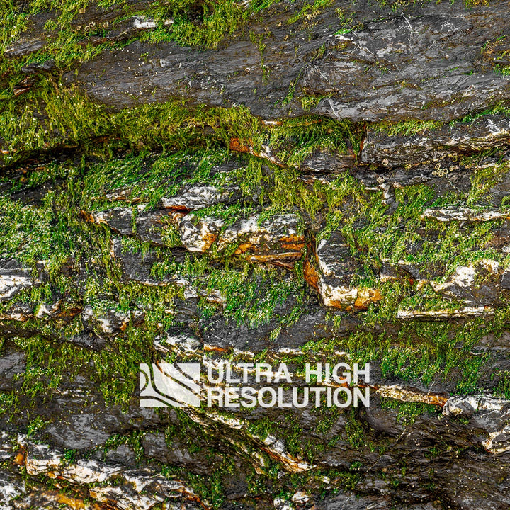 Warm Grey Mossy Rock Texture (344cm x 146cm)