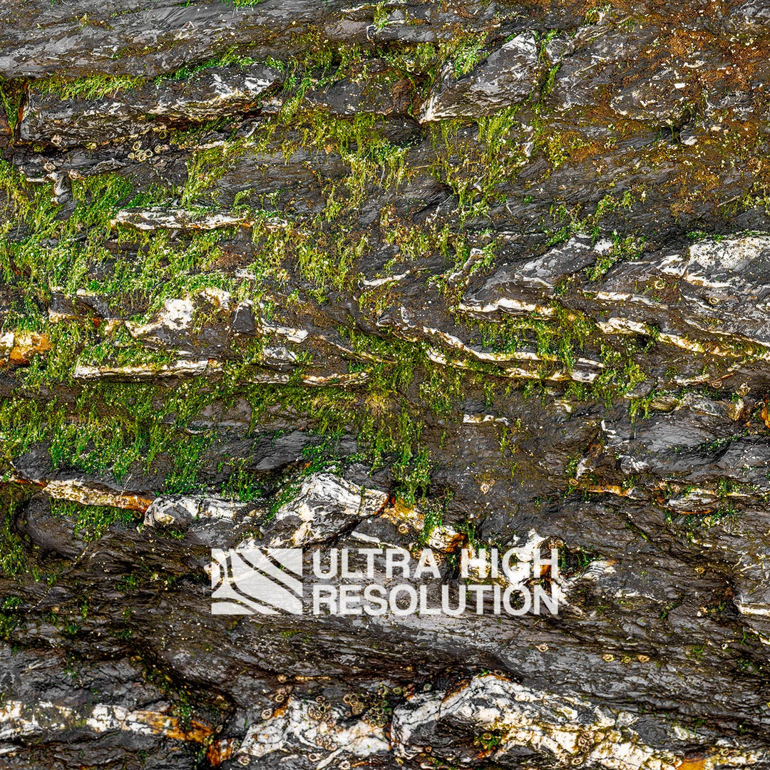 Warm Grey Mossy Rock Texture (344cm x 146cm)