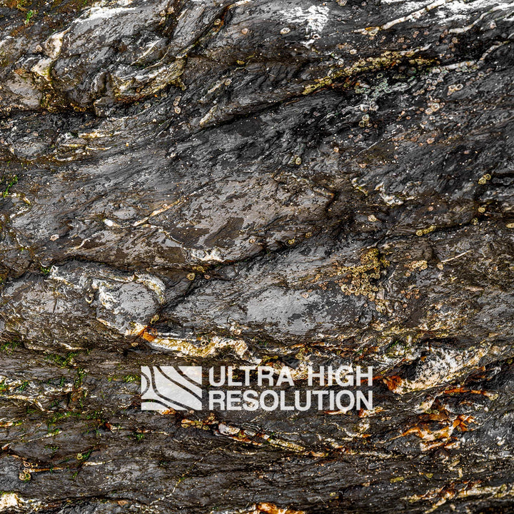 Warm Grey Mossy Rock Texture (344cm x 146cm)